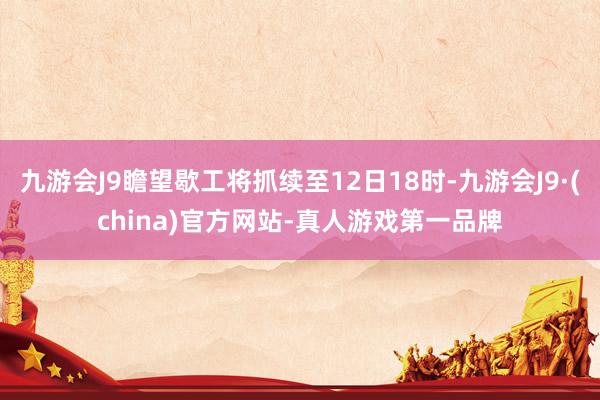 九游会J9瞻望歇工将抓续至12日18时-九游会J9·(china)官方网站-真人游戏第一品牌