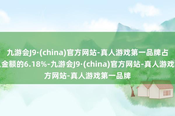 九游会J9·(china)官方网站-真人游戏第一品牌占当日买入金额的6.18%-九游会J9·(china)官方网站-真人游戏第一品牌