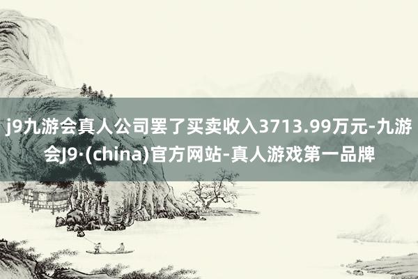 j9九游会真人公司罢了买卖收入3713.99万元-九游会J9·(china)官方网站-真人游戏第一品牌