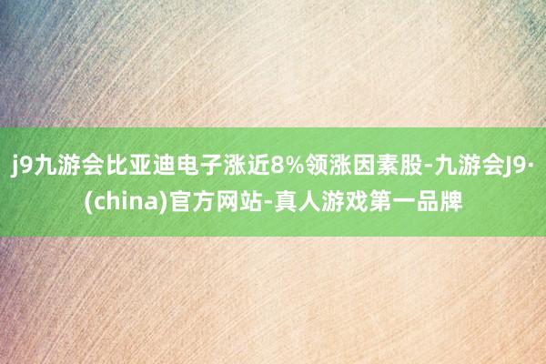 j9九游会比亚迪电子涨近8%领涨因素股-九游会J9·(china)官方网站-真人游戏第一品牌