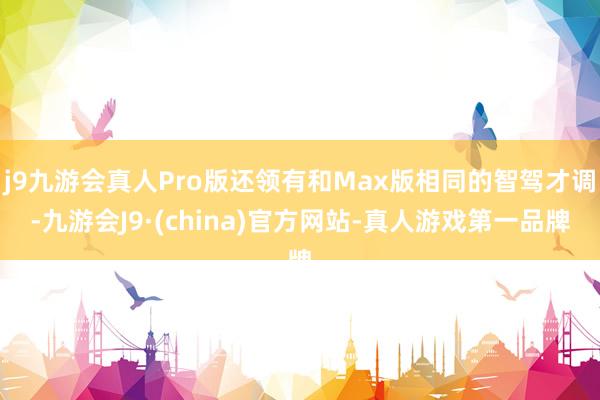 j9九游会真人Pro版还领有和Max版相同的智驾才调-九游会J9·(china)官方网站-真人游戏第一品牌