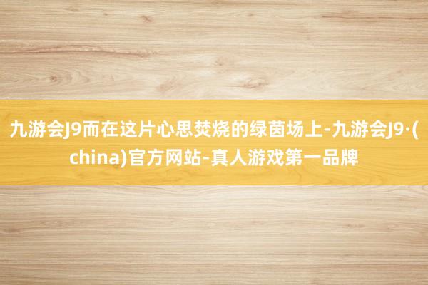 九游会J9而在这片心思焚烧的绿茵场上-九游会J9·(china)官方网站-真人游戏第一品牌