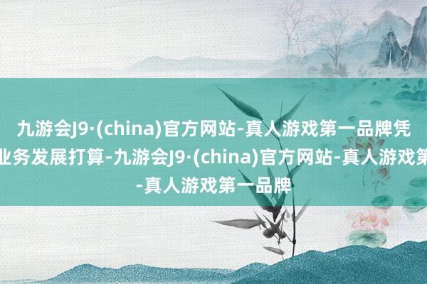 九游会J9·(china)官方网站-真人游戏第一品牌凭证公司业务发展打算-九游会J9·(china)官方网站-真人游戏第一品牌