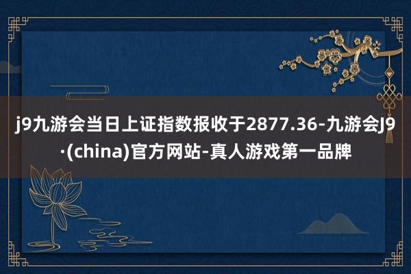 j9九游会当日上证指数报收于2877.36-九游会J9·(china)官方网站-真人游戏第一品牌