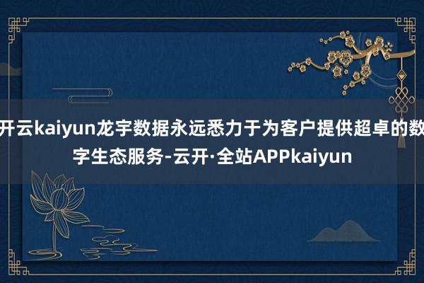 开云kaiyun龙宇数据永远悉力于为客户提供超卓的数字生态服务-云开·全站APPkaiyun