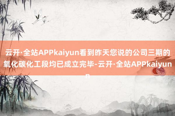 云开·全站APPkaiyun看到昨天您说的公司三期的氧化碳化工段均已成立完毕-云开·全站APPkaiyun