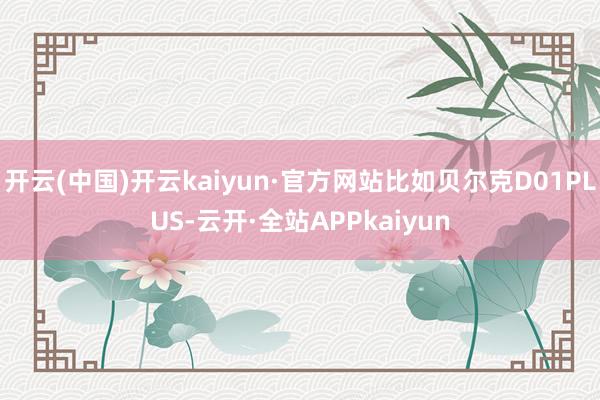 开云(中国)开云kaiyun·官方网站比如贝尔克D01PLUS-云开·全站APPkaiyun