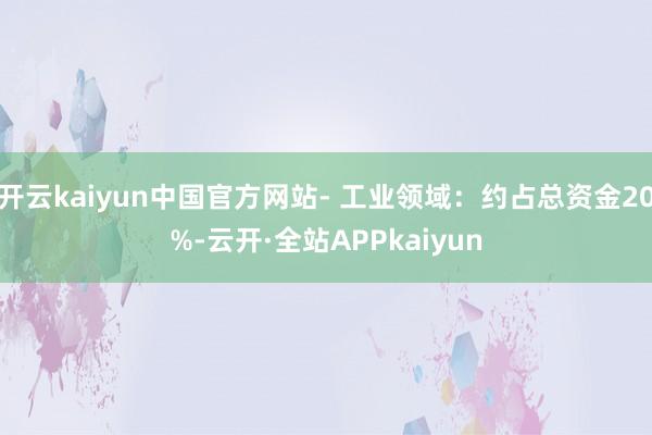 开云kaiyun中国官方网站- 工业领域：约占总资金20%-云开·全站APPkaiyun