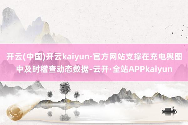 开云(中国)开云kaiyun·官方网站支撑在充电舆图中及时稽查动态数据-云开·全站APPkaiyun