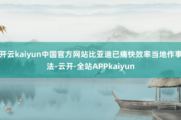 开云kaiyun中国官方网站比亚迪已痛快效率当地作事法-云开·全站APPkaiyun