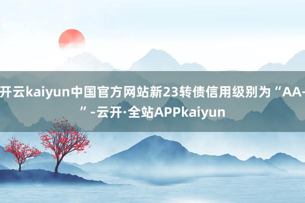 开云kaiyun中国官方网站新23转债信用级别为“AA-”-云开·全站APPkaiyun